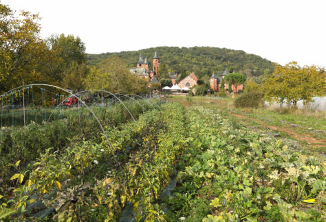 Restaurant Collonges